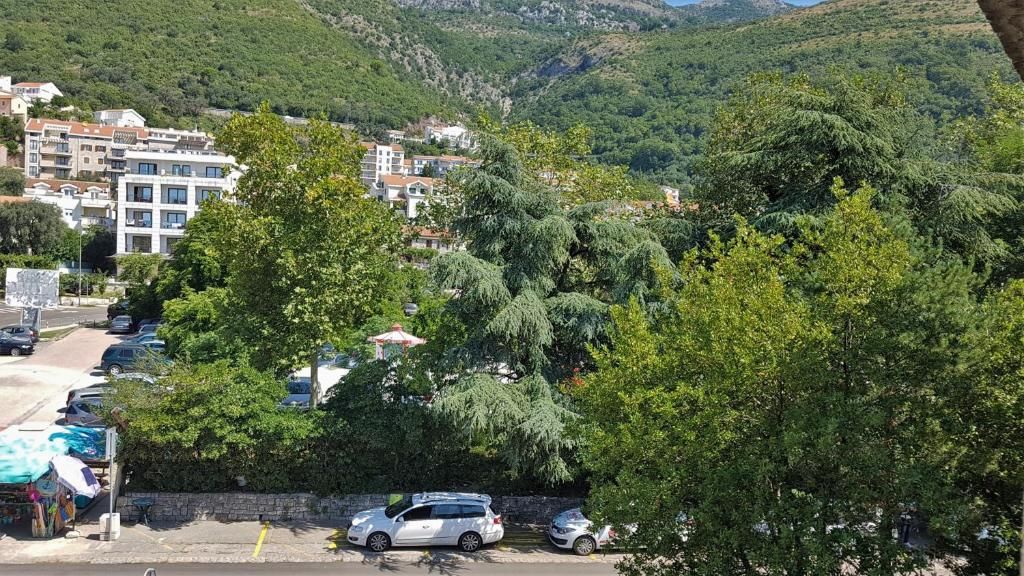 Апартаменты Casa Lavanda Петровац-37