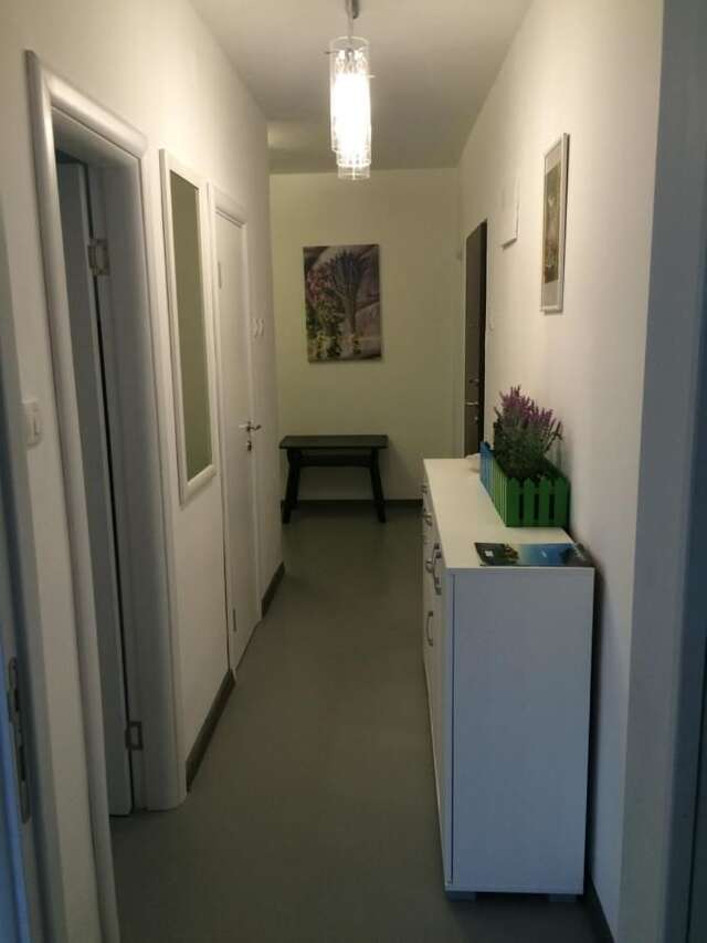 Апартаменты Casa Lavanda Петровац-12